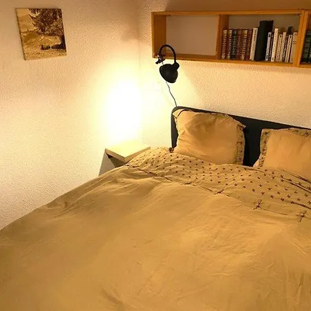Confortable 4 Pers., Proche Pistes Et Commerces, Parking, Balcon Sud-ouest, Animaux Admis - Fr-1-733-91 Apartment Crest-Voland